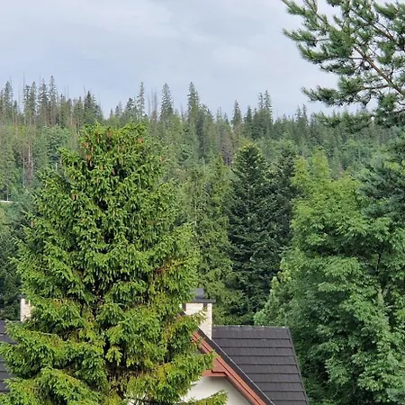 Pokoje Apartamenty Pod Limba Zakopane Exterior foto