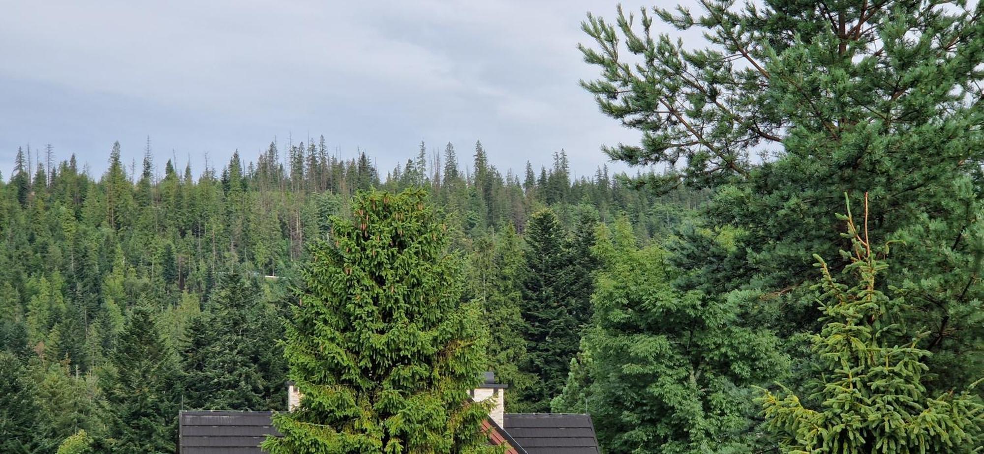 Privatunterkunft Pod Limba