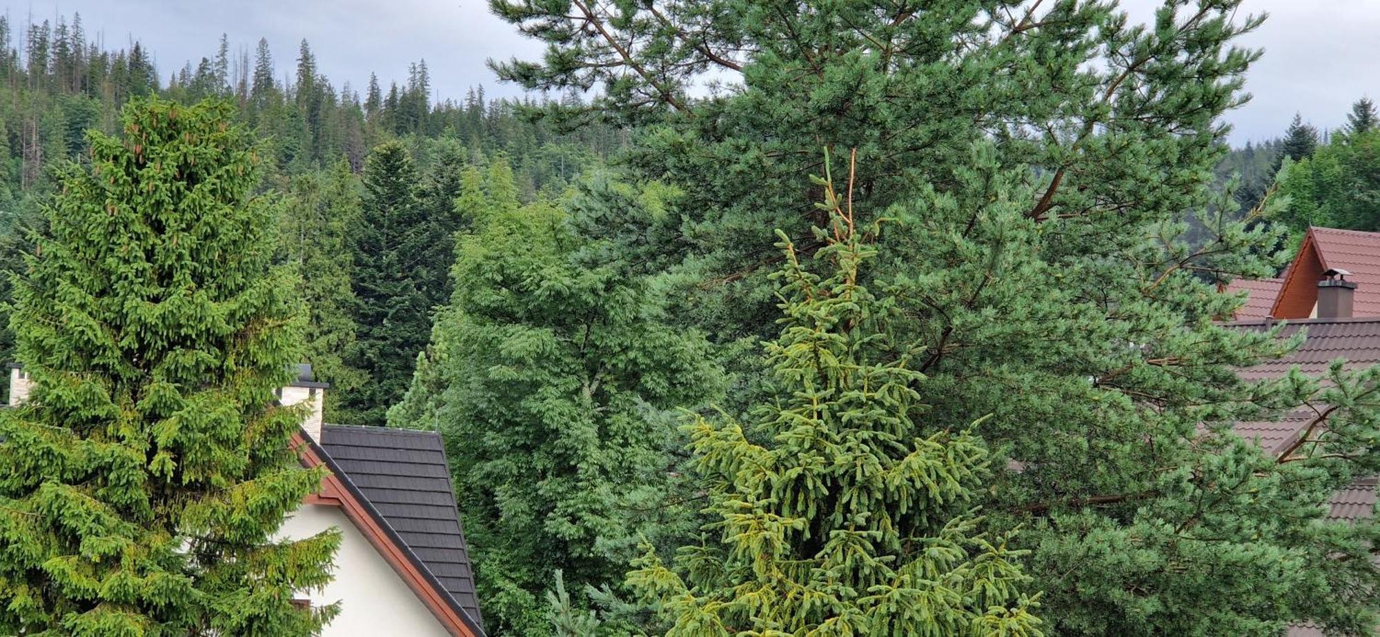 Pod Limba * Zakopane